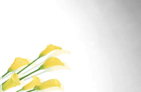 kaufen Spiegel-Polieredelstahlblech-super helle Oberfläche des Endeno.8 on-line-Fertigung