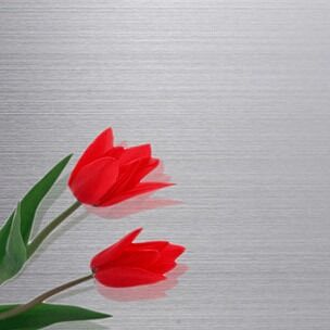 kaufen No.3/HL beenden kaltgewalztes Grad-Material der Edelstahlblech-höchsten Vollkommenheit Online-Herstellung